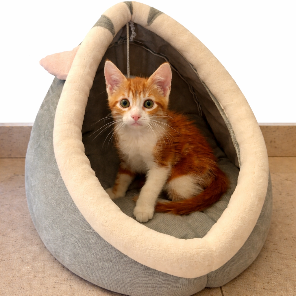 Calming Cat Cave Bed – Winter Cosy Hideaway