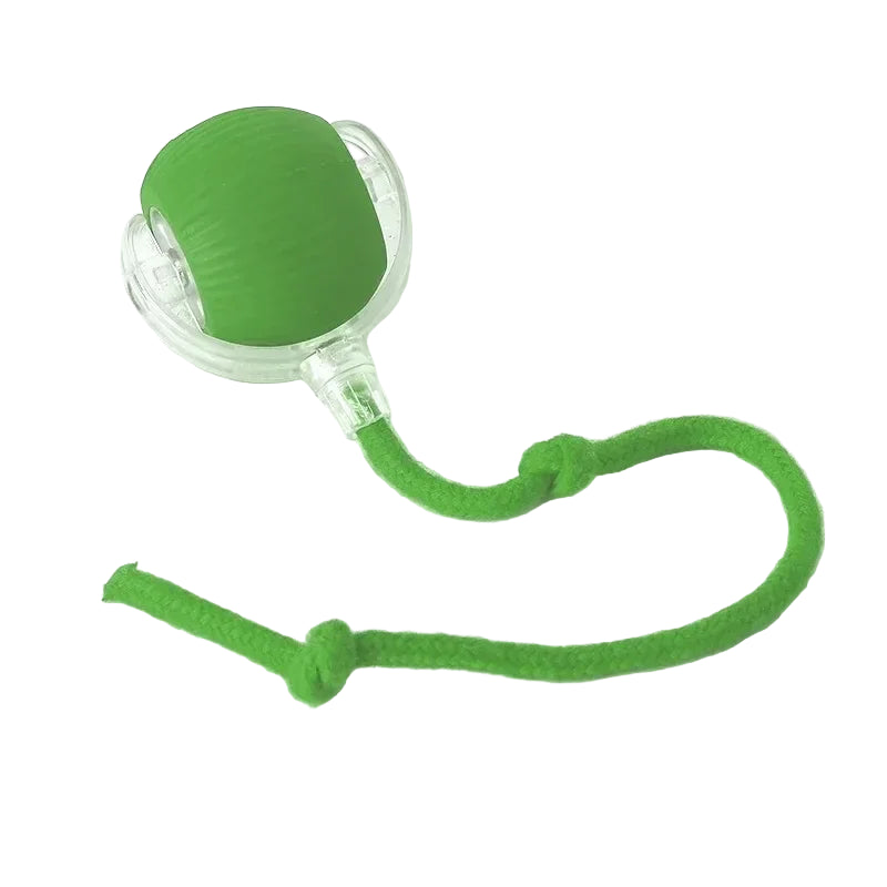 Rolling Ball Toy