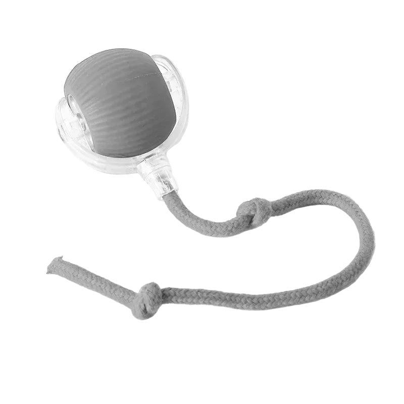 Rolling Ball Toy