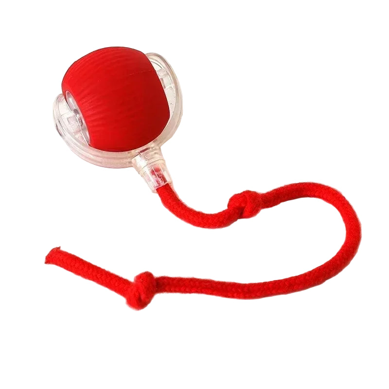Rolling Ball Toy